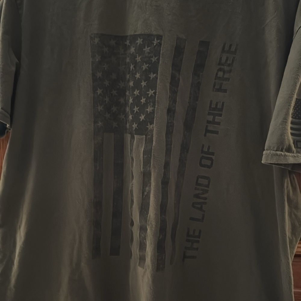 Hold Fast Land of the Free Flag Short Sleeve Tee shirt Army Green